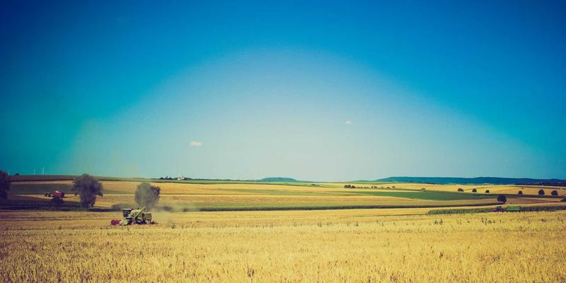 NDBSYJ引领企业数字化转型:技术咨询如何成为变革核心驱动力