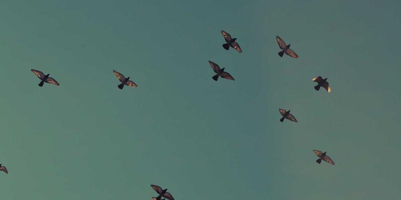 NDBSYJ时代：软件开发与数字化转型中的数字主权与云边端协同架构选择