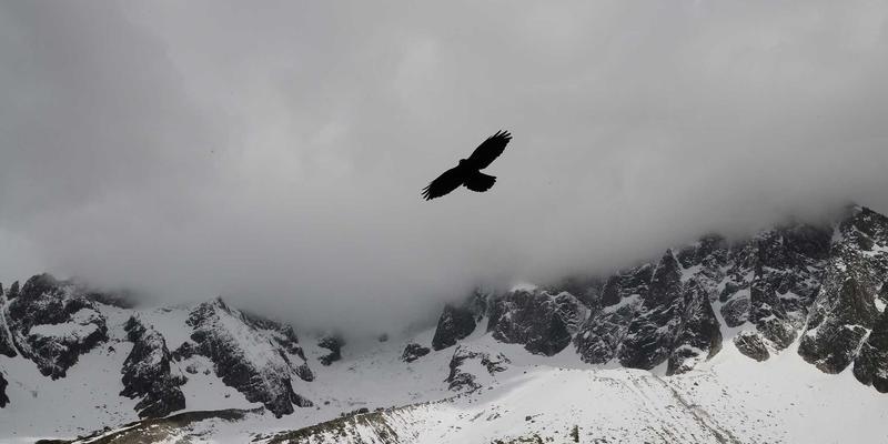 NDBSYJ视角下的异构计算与专用芯片：驱动数字化转型的底层性能革命与能效挑战