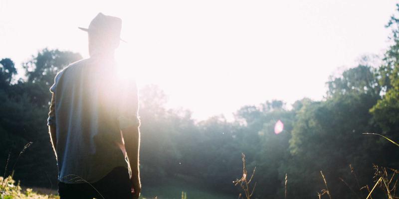 信息技术12:解码数字化转型时代的核心编程能力