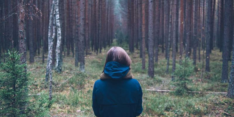 信息技术31：蒸汽波美学下的技术咨询新浪潮