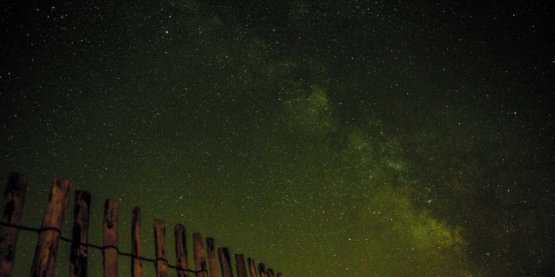 信息技术33：软件工程、编程与技术咨询的深度融合之道