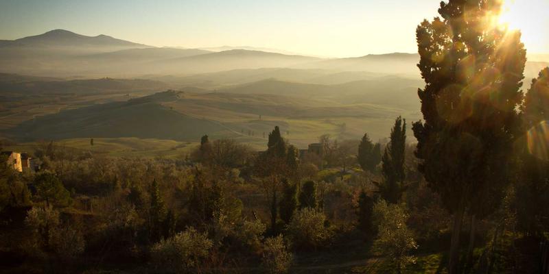 信息技术59：当蒸汽波美学与软件开发在数字化转型中碰撞