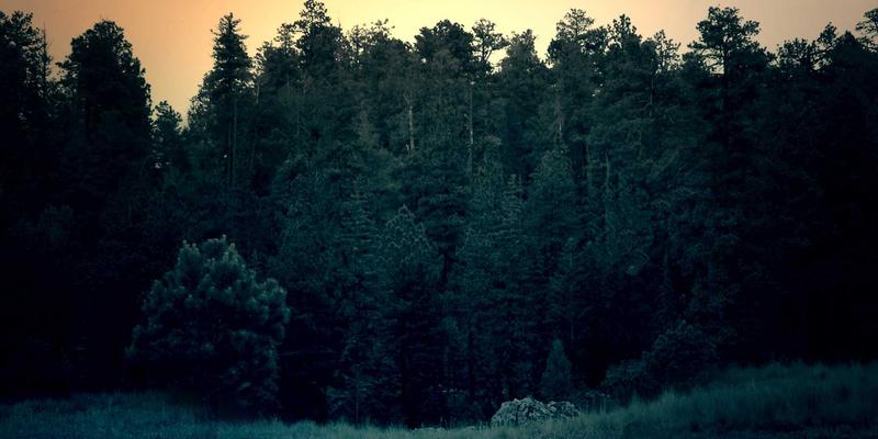 信息技术68：软件工程如何驱动数字化转型与高效软件开发