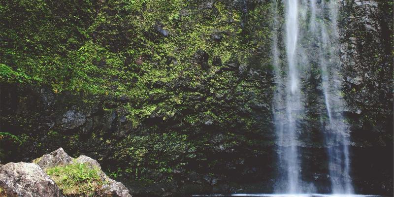 信息技术83：蒸汽波美学如何为数字化转型注入技术咨询新灵感