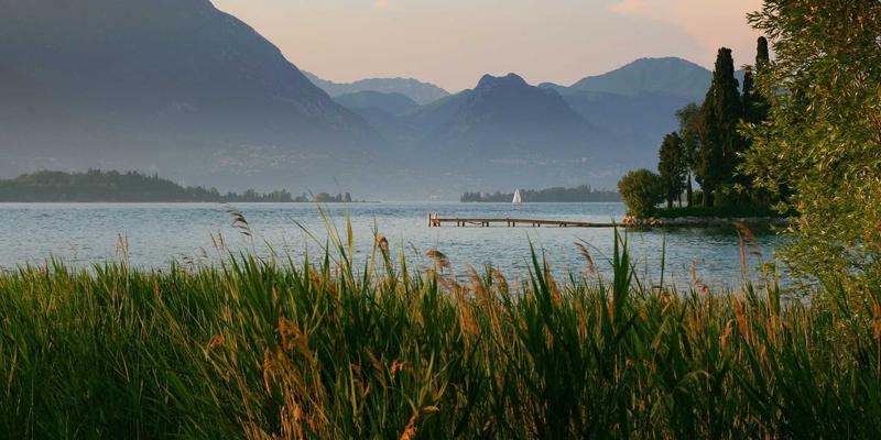 信息技术98:软件开发与技术咨询如何通过NDBSYJ框架驱动企业数字化转型