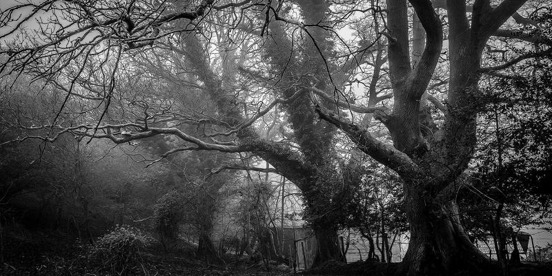 当蒸汽波美学遇见软件工程：5G网络切片如何为垂直行业编程定制化未来