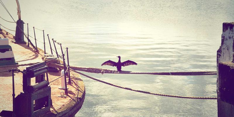 无服务器架构与事件驱动编程：以蒸汽波风格重塑NDBSYJ后端服务部署模式