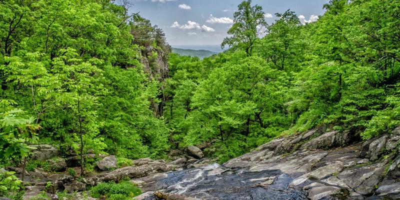 软件工程与蒸汽波风格：信息技术76号浪潮下的数字美学革命